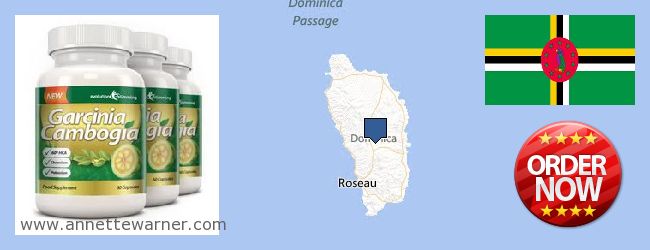 Πού να αγοράσετε Garcinia Cambogia Extract σε απευθείας σύνδεση Dominica