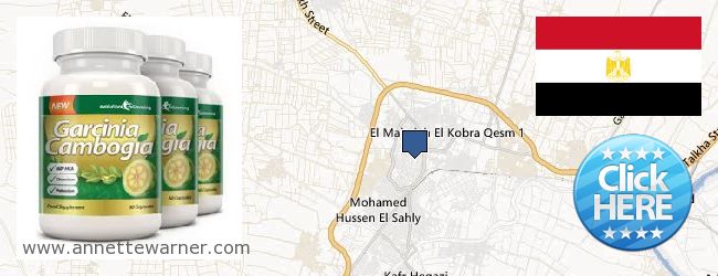Where to Buy Garcinia Cambogia Extract online El-Mahalla El-Kubra, Egypt