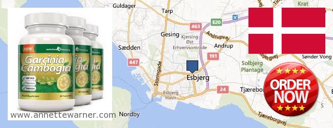 Where to Buy Garcinia Cambogia Extract online Esbjerg, Denmark