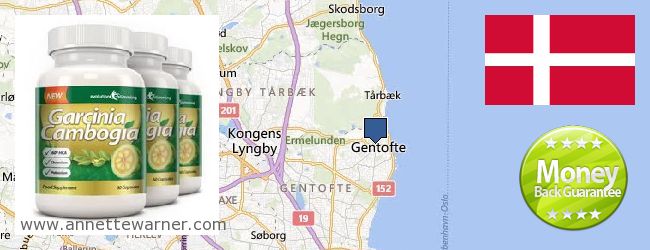 Where Can I Purchase Garcinia Cambogia Extract online Gentofte, Denmark