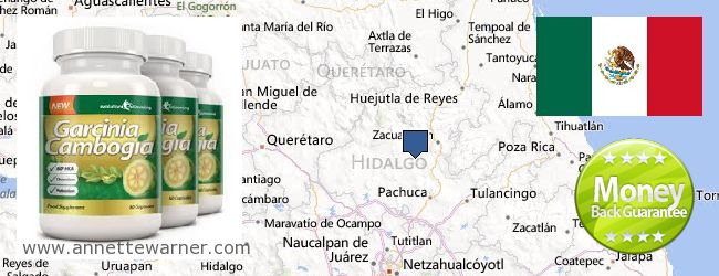 Where to Purchase Garcinia Cambogia Extract online Hidalgo, Mexico