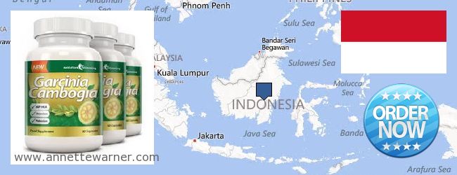 Kde koupit Garcinia Cambogia Extract on-line Indonesia