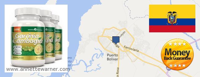 Where to Purchase Garcinia Cambogia Extract online Machala, Ecuador