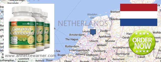 Unde să cumpărați Garcinia Cambogia Extract on-line Netherlands