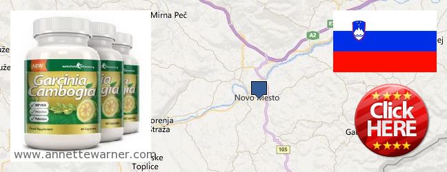 Best Place to Buy Garcinia Cambogia Extract online Novo Mesto, Slovenia