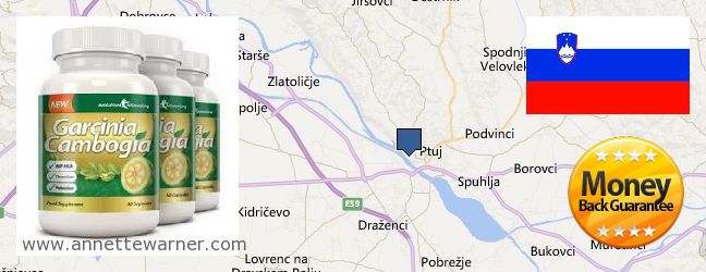 Where to Buy Garcinia Cambogia Extract online Ptuj, Slovenia