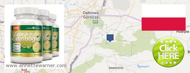 Where to Purchase Garcinia Cambogia Extract online Sosnowiec, Poland