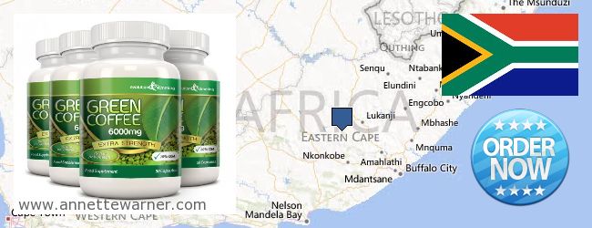 Where Can I Purchase Green Coffee Bean Extract online Eastern Cape, South Africa