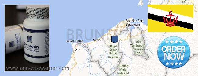 Var kan man köpa Gynexin nätet Brunei