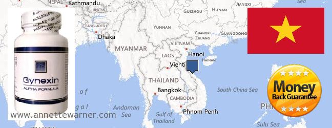 Kde kúpiť Gynexin on-line Vietnam