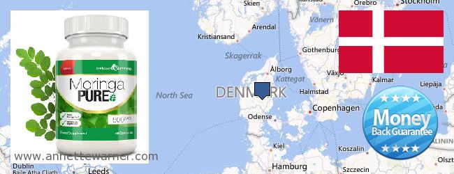 Kde kúpiť Moringa Capsules on-line Denmark