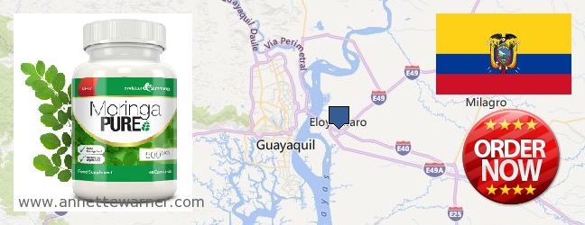 Where to Purchase Moringa Capsules online Eloy Alfaro, Ecuador