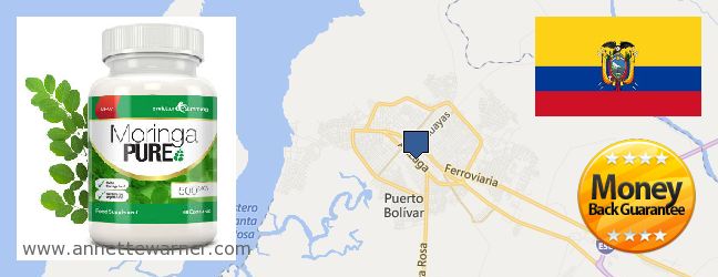 Where to Buy Moringa Capsules online Machala, Ecuador