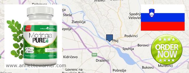 Where to Purchase Moringa Capsules online Ptuj, Slovenia