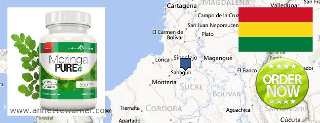 Purchase Moringa Capsules online Sucre, Bolivia