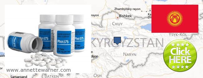 Jälleenmyyjät Phen375 verkossa Kyrgyzstan