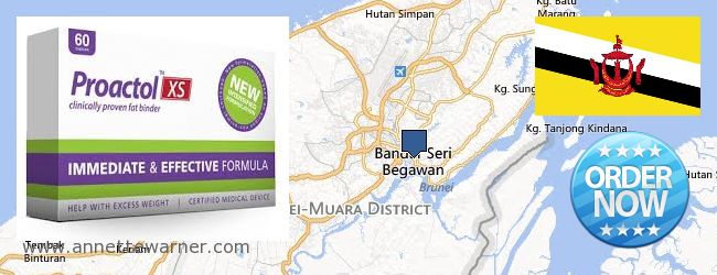 Where to Purchase Proactol XS online Bandar Seri Begawan, Brunei