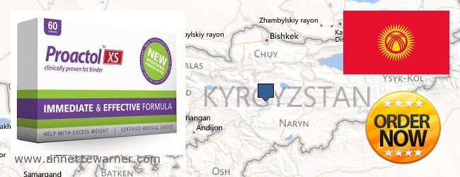 Jälleenmyyjät Proactol verkossa Kyrgyzstan