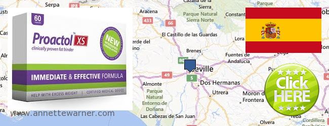 Best Place to Buy Proactol XS online Seville, Spain