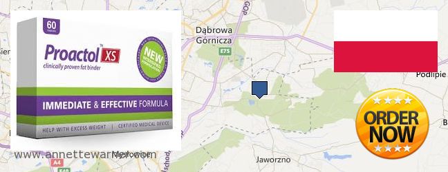 Where Can You Buy Proactol XS online Sosnowiec, Poland