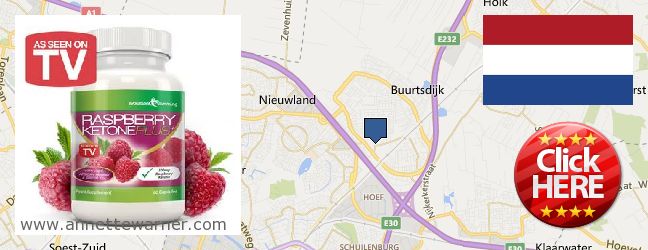 Where Can I Buy Raspberry Ketones online Amersfoort, Netherlands