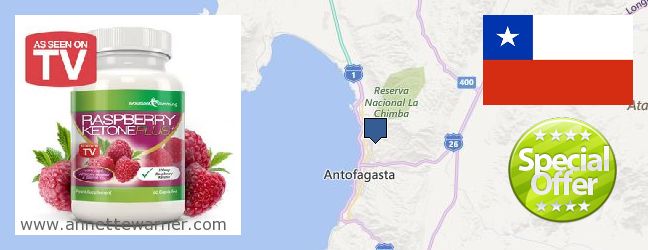 Where to Purchase Raspberry Ketones online Antofagasta, Chile