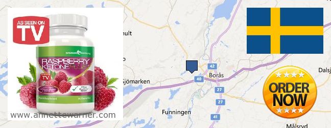 Where Can I Purchase Raspberry Ketones online Boras, Sweden
