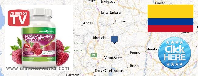 Buy Raspberry Ketones online Caldas, Colombia