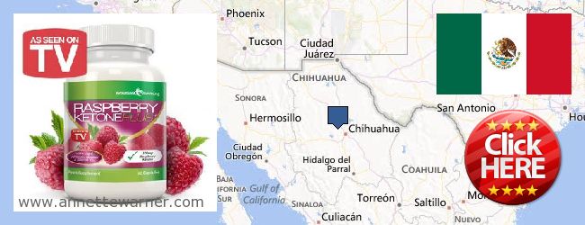 Where to Buy Raspberry Ketones online Chihuahua, Mexico