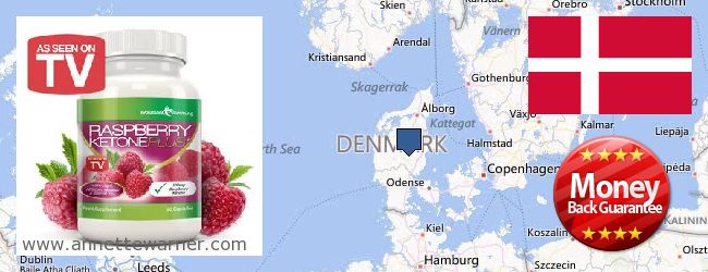 Где купить Raspberry Ketones онлайн Denmark