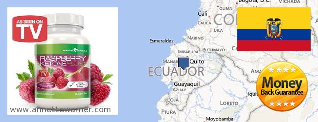 Где купить Raspberry Ketones онлайн Ecuador