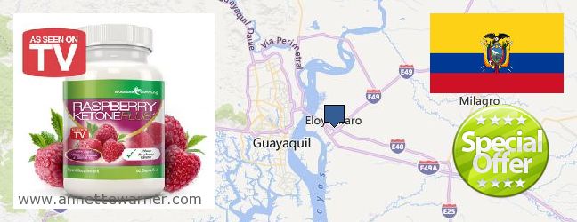 Buy Raspberry Ketones online Eloy Alfaro, Ecuador