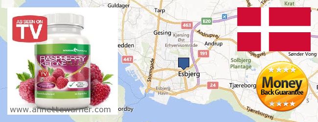 Buy Raspberry Ketones online Esbjerg, Denmark