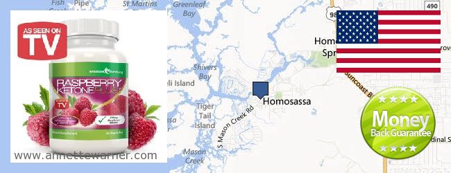 Where to Purchase Raspberry Ketones online Homosassa Springs (- Beverly Hills - Citrus Springs) FL, United States