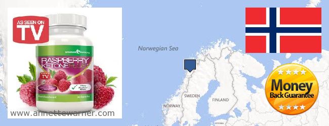 Jälleenmyyjät Raspberry Ketones verkossa Norway
