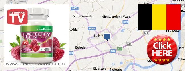 Where to Buy Raspberry Ketones online Sint-Niklaas, Belgium