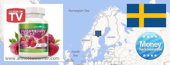 Къде да закупим Raspberry Ketones онлайн Sweden