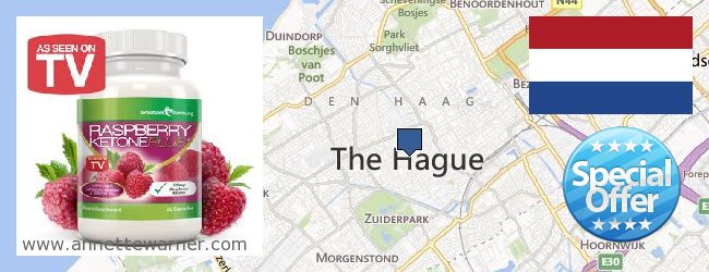 Purchase Raspberry Ketones online The Hague, Netherlands