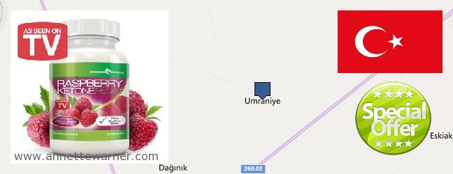 Where to Buy Raspberry Ketones online Umraniye, Turkey