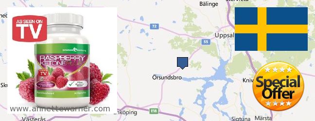 Where to Purchase Raspberry Ketones online Uppsala, Sweden