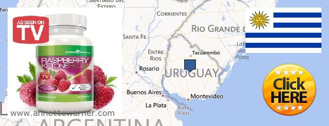 Hvor kjøpe Raspberry Ketones online Uruguay