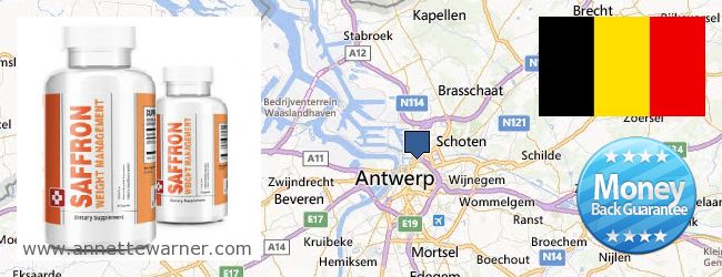 Where Can I Buy Saffron Extract online Antwerp, Belgium