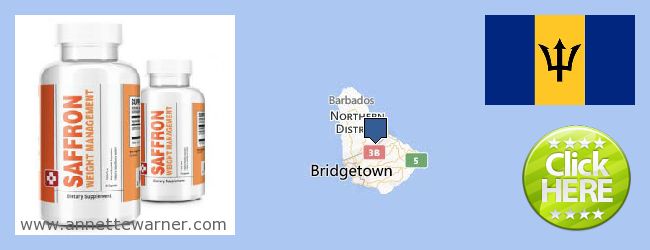 Où Acheter Saffron Extract en ligne Barbados