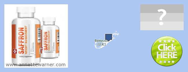 Où Acheter Saffron Extract en ligne Bermuda