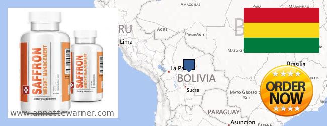 Где купить Saffron Extract онлайн Bolivia