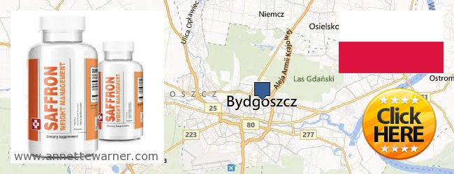 Where to Buy Saffron Extract online Bydgoszcz, Poland