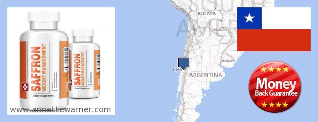 Où Acheter Saffron Extract en ligne Chile