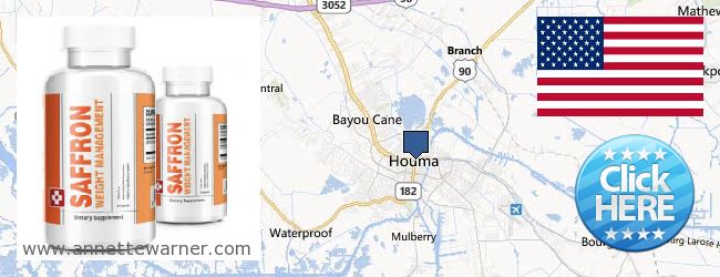 Where to Buy Saffron Extract online Houma LA, United States
