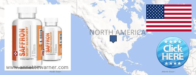 Buy Saffron Extract online Michigan MI, United States