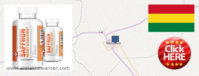 Where to Buy Saffron Extract online Montero, Bolivia